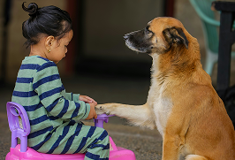 Cachorro com criança
