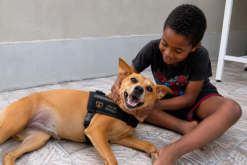 Cachorro Vira Lata com criança